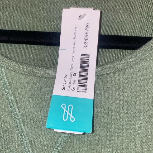 Staccato Olive Crewneck Sweater with Ivory Accents - Picture 4 of 6